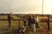 Contests &raquo; Early 90s Field Day